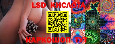 тгк Кимры