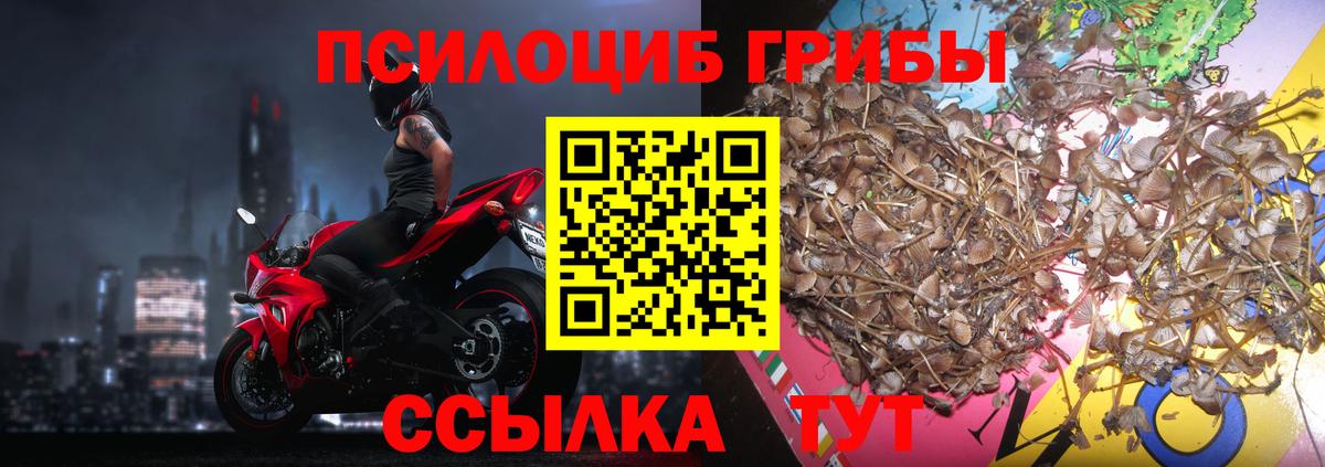 Псилоцибиновые грибы MAGIC MUSHROOMS  Вход с VPN  Красноярск 